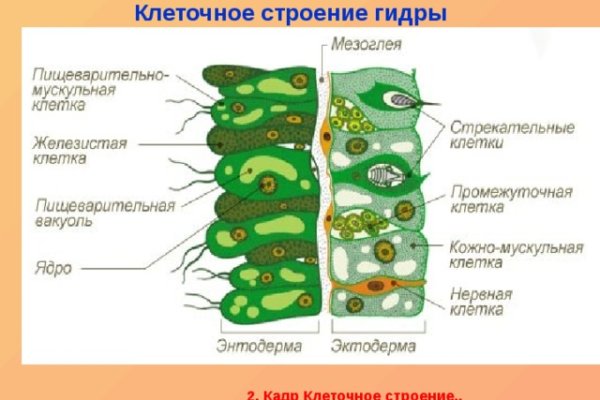 Как войти в кракен через тор