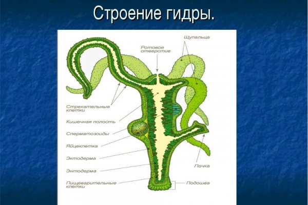 Mega market ссылка