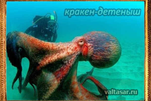 Кракен макет даркнет
