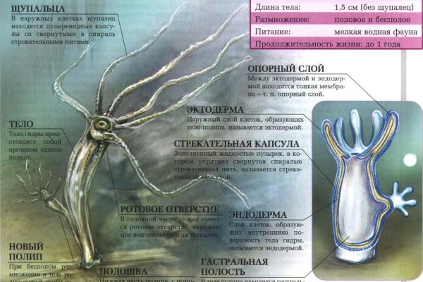 Сайты с наркотиками