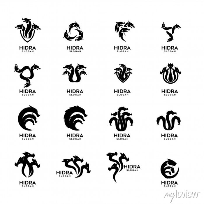 Kraken20 at